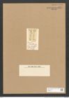 Stauroneis rotundata Grev. (de-Toni-Nr.: Genus 6, Species 871) Zeichnungen Sammlung Grunow Nr. 1731 (NHMW-BOT-W0368611)